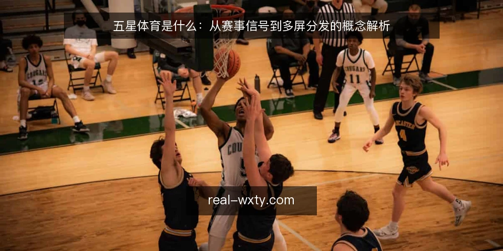 五星体育是什么：从赛事信号到多屏分发的概念解析 — 信号源与分发链路：五星体育的定位 配图