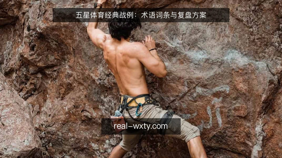 五星体育经典战例：术语词条与复盘方案